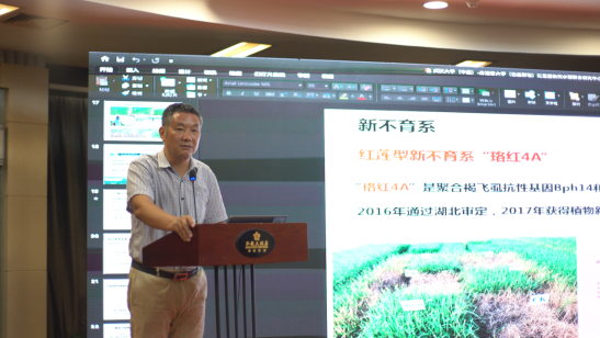 1637918647117147.png 图片.png