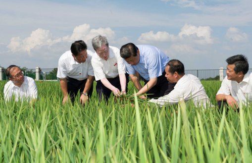 1637918882373480.png 图片.png